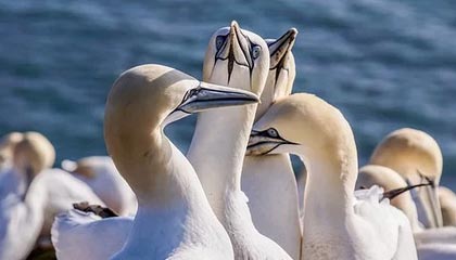 开云网页版-英雄联盟高校联赛火热报名中，校园战火燃起，英雄联盟高校联赛2021报名