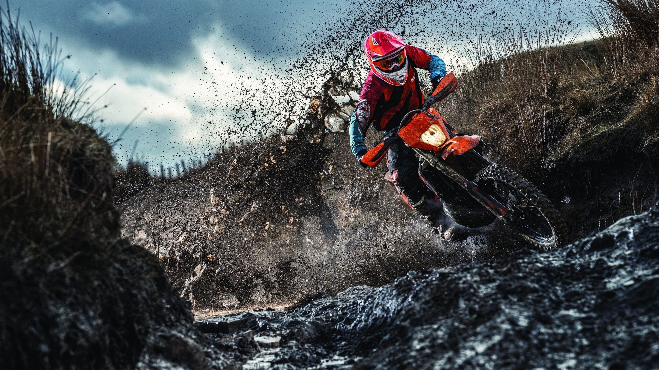 开云体育APP下载-【穆基·贝茨的救世主表现】道奇队逆转战胜对手，穆奇贝茨 道奇